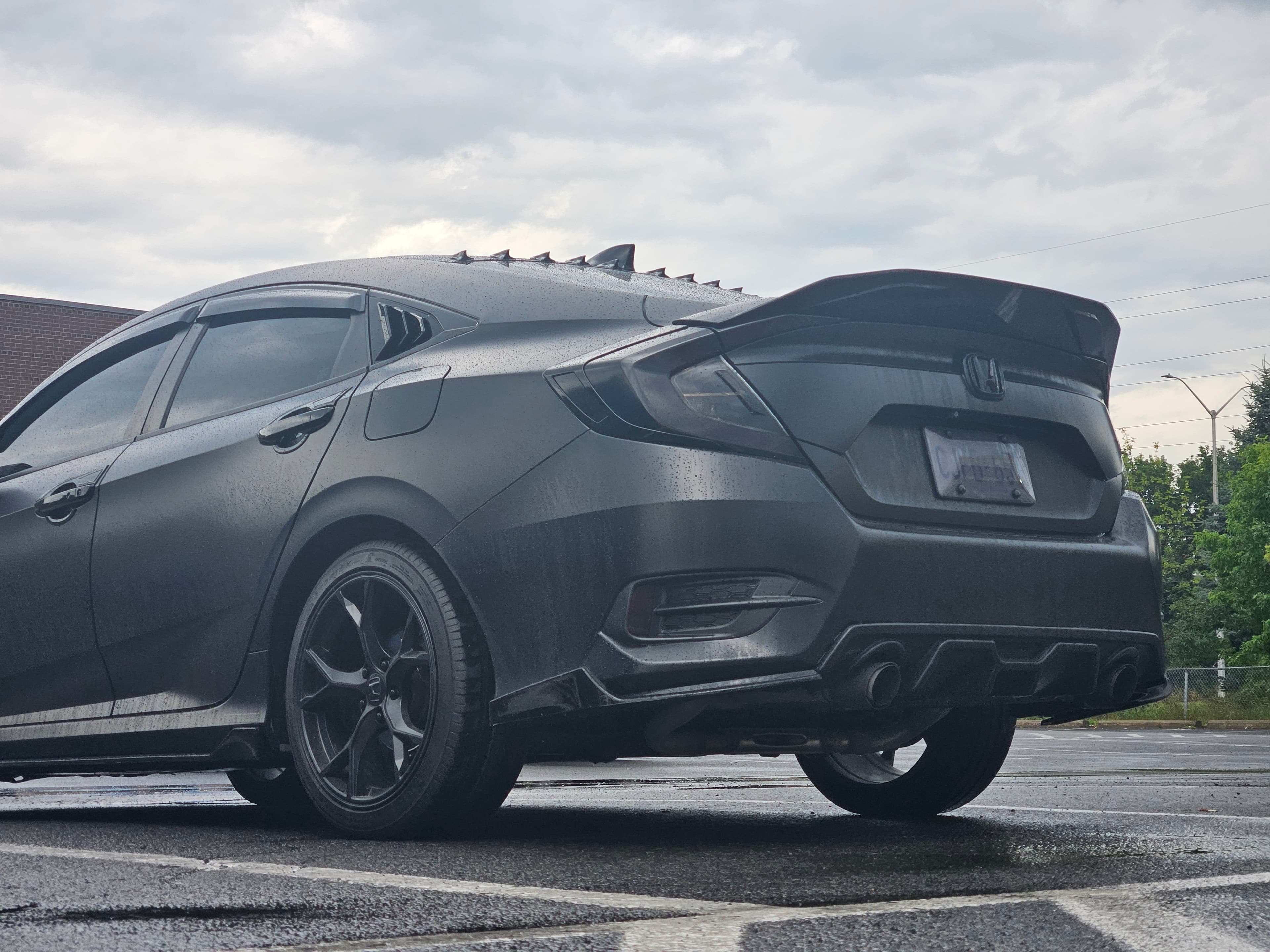 Matte Black Civic Rear